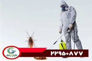 هر آنچه باید درباره خدمات شرکت سمپاشی منازل بدانید : راهنمای جامع فنی و آموزشی