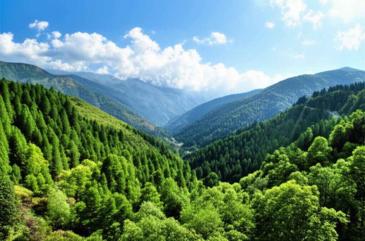 جنگل دماوند: بهترین جنگل حومه تهران برای طبیعت گردی