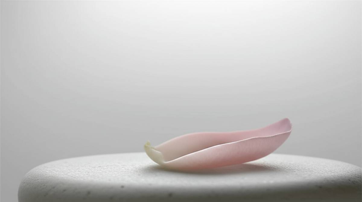 سقط جنین سه ماهگی: راهنمای جامع علل، عوارض و نکات مهم