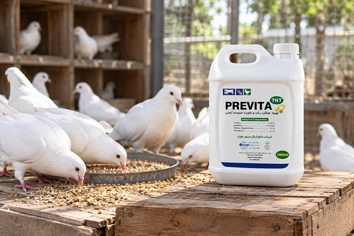 دامپزشکی | تغذیه پری ویتا تی ان تی (Previta TNT)؛ کاربرد، ترکیبات و روش مصرف